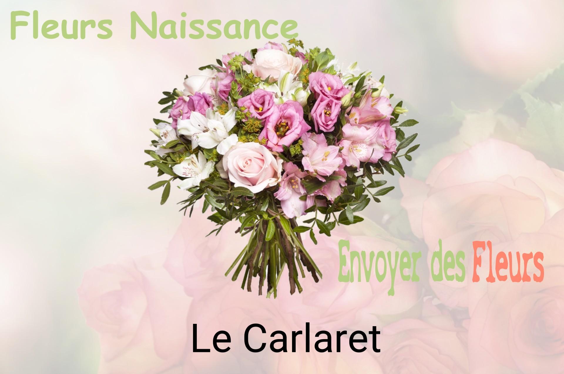 Bouquet de fleurs de naissance livré à Le Carlaret